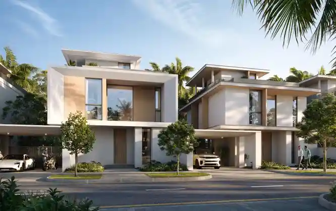 Project Image 1